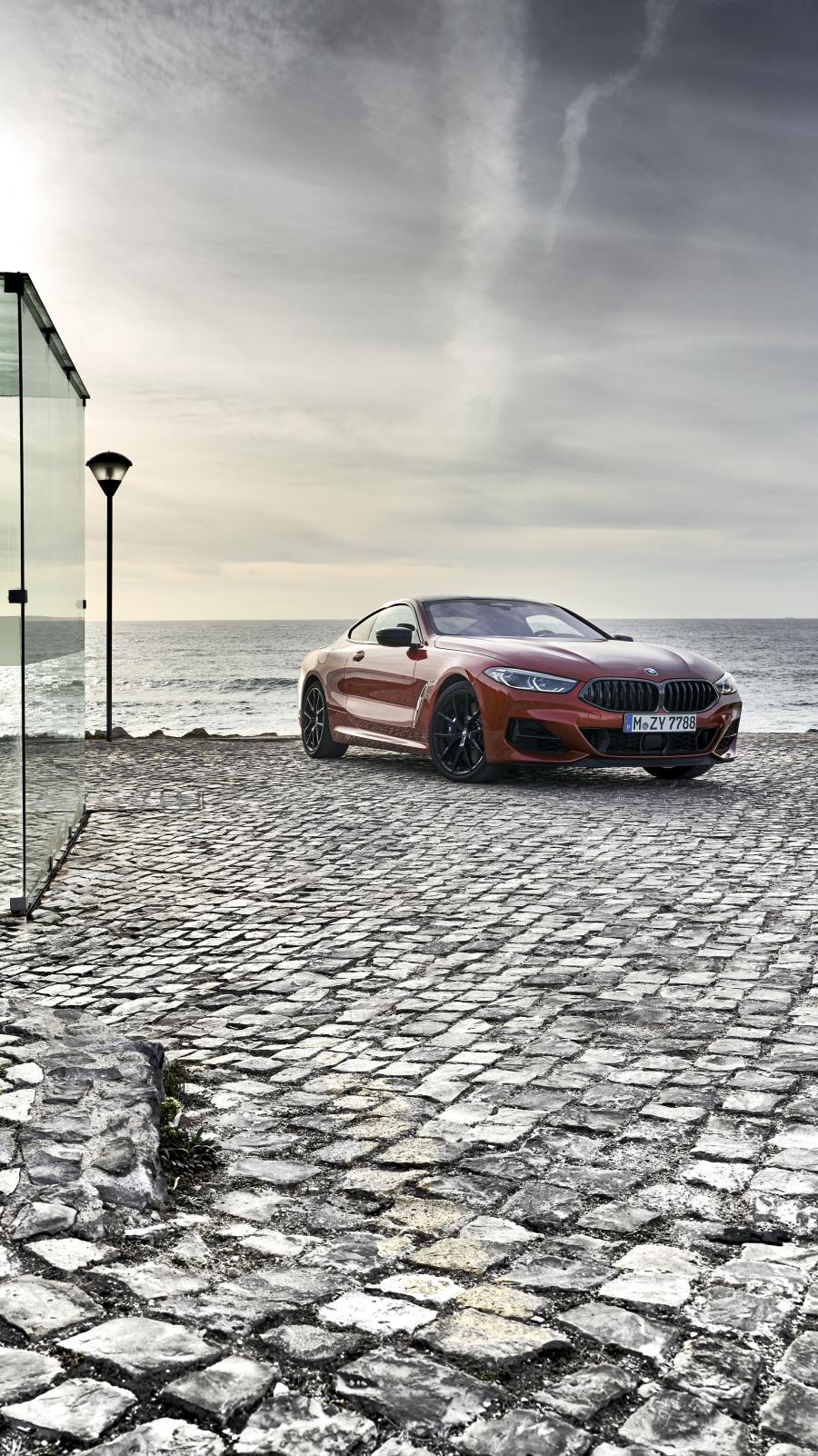  BMW M850i xDrive Carbon Package (G15) 2018 года  (WW) (фото 238 из 287)